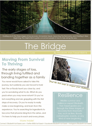 The Bridge handout to help families in need with Resilience Expert Elizabeth Van Tassel