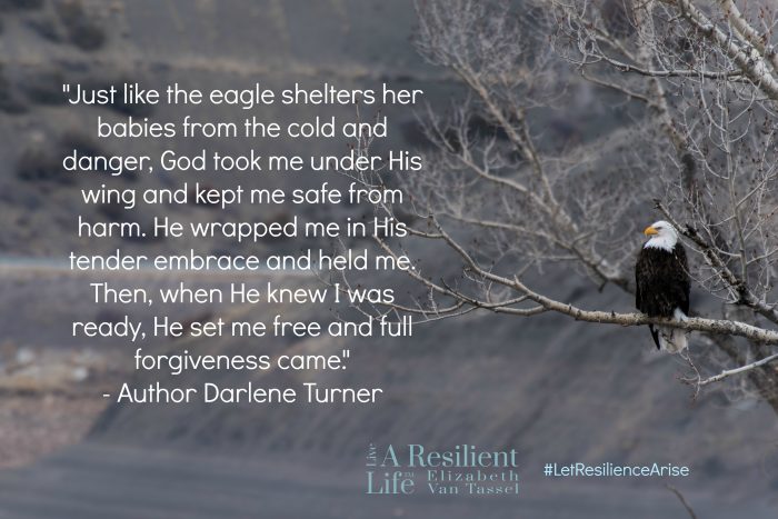 Darlene Turner quote over mountain scnene with eagle and resilience expert Elizabeth Van Tassel