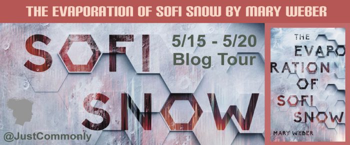 Just Commonly blog tour The Evaporation of Sofi Snow with resilicne expert Elizabeth Van Tassel