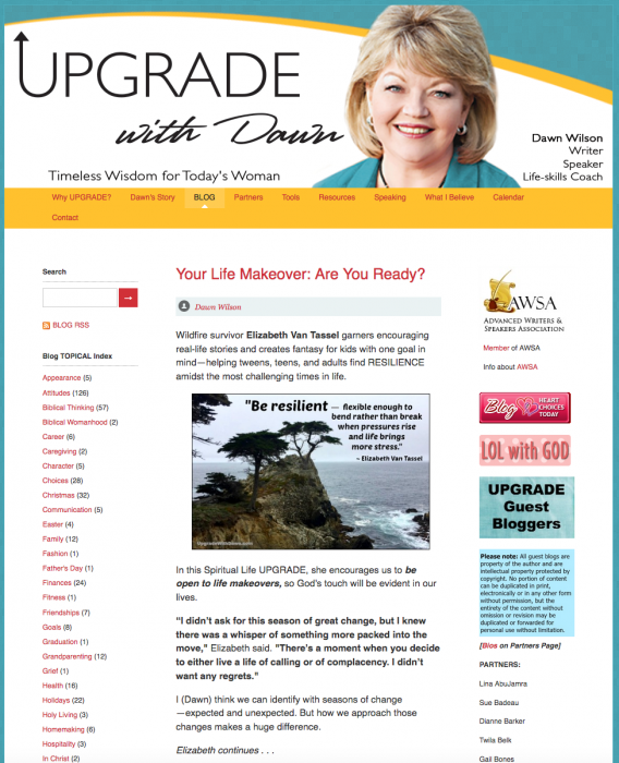 Dawn Wilson's UPGRADE post with resilience expert Elizabeth Van Tassel.