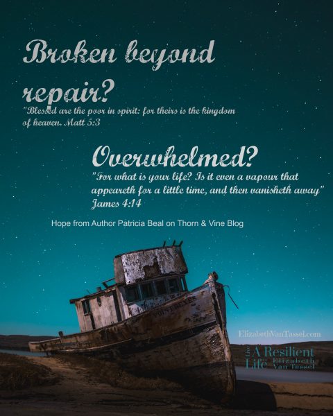 Boat beached crashed on shore, favorite verses Author Patricia Beal shares with resilience expert Elizabeth Van Tassel