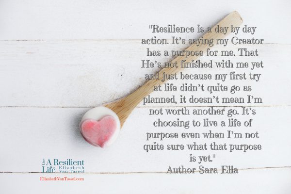 Quote with Sara Ella, author, with resilience expert Elizabeth Van Tassel
