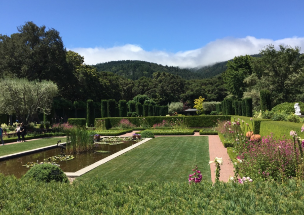 Filoli gardens is so inspiring and refreshing with resilience expert Elizabeth Van Tassel.